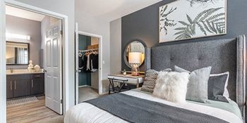Comfortable bedroom with closet